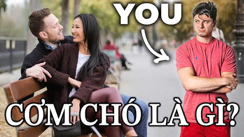 cơm chó là gì