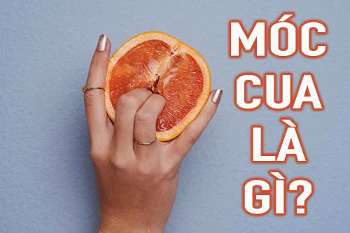 Móc cua là gì