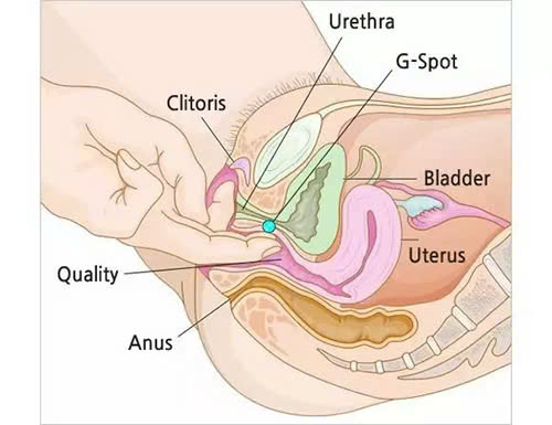 Tìm hiểu móc cua là gì?