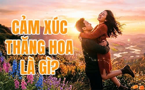 Cảm xúc thăng hoa là gì?